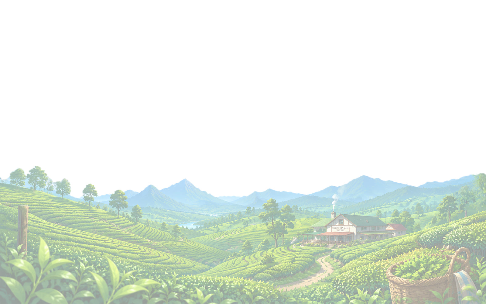 Background-image